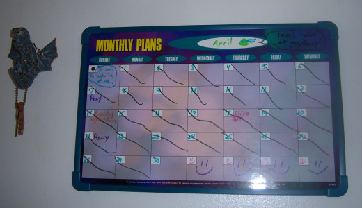 I picked up this dry-erase monthly planner at a local thrift store, and had a little too much fun filling it out.
