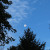 The moon in the morning. The moon in the morning.