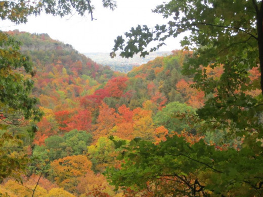 Fall colours on the ridge at Bruce Trail near Hamilton