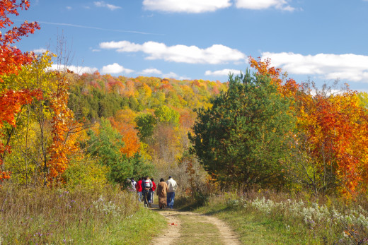 Hikers on the trail to enjoy fall colours.