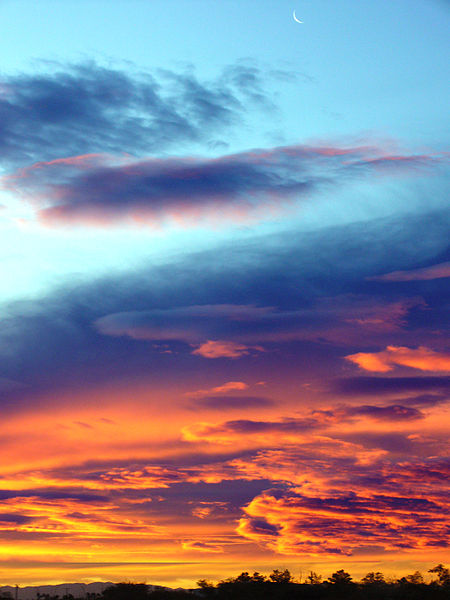 Wikimedia Commons: Creative Commons Attribution-Share Alike 3.0 Unported license.