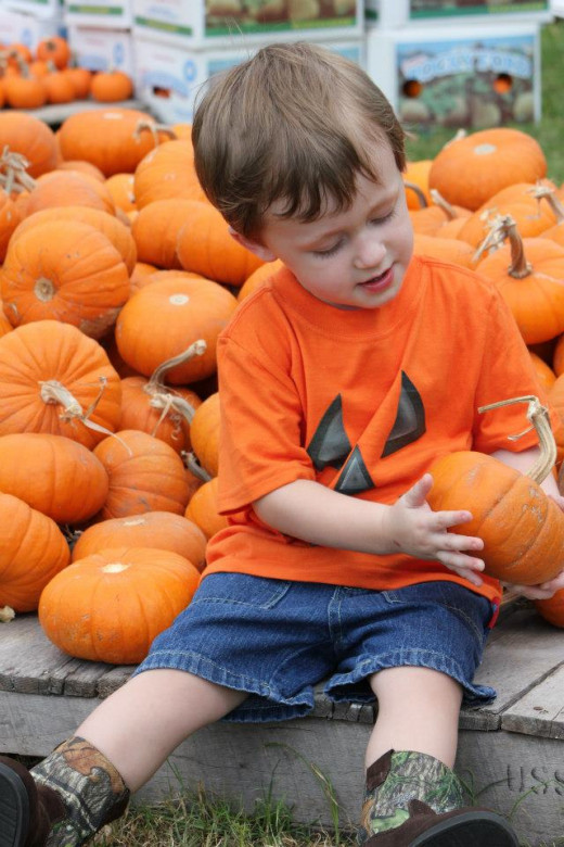 Selecting a pumpkin of our very one...a rite of passage