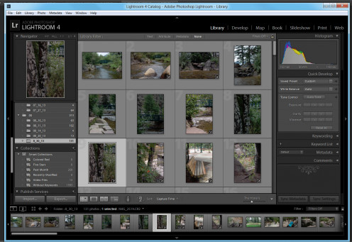 The library window allows you to easily browse through your photographs.