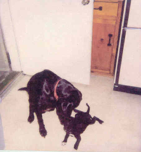 Molly & Katie