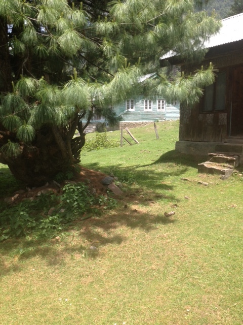 log cottages.