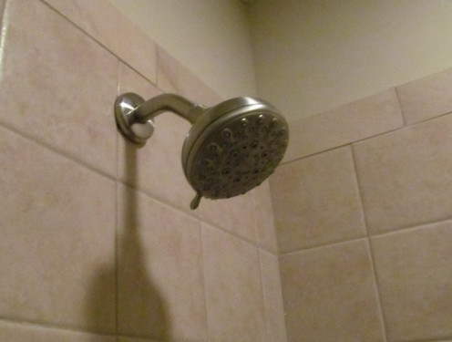 Hotel room showers are in use constantly.  Water pressure and temperature may vary. 