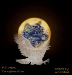 Eyes Of An Immortal (Chapter Sixteen)