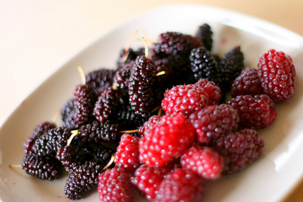Berries are a good example of slow carb foods.