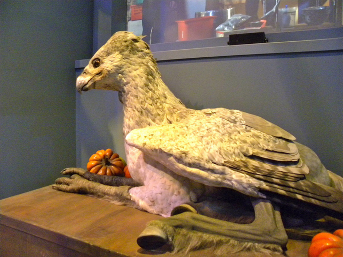 A hippogriff from the Harry Potter Studio Tour. Newt Scamander's mother was a breeder of hippogriffs.