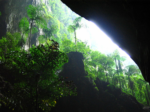 Entrance to the Deer Cave in the Gunung Mulu National Park, Sarawak