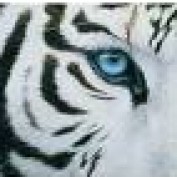 BlueEyedTiger profile image