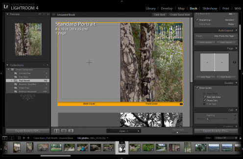 The book window allows you to visually put together a collection of photos for a book or hard copy portfolio.