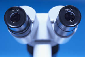 The microscope examines the smallest speck, the measuring rod, the Word of God
