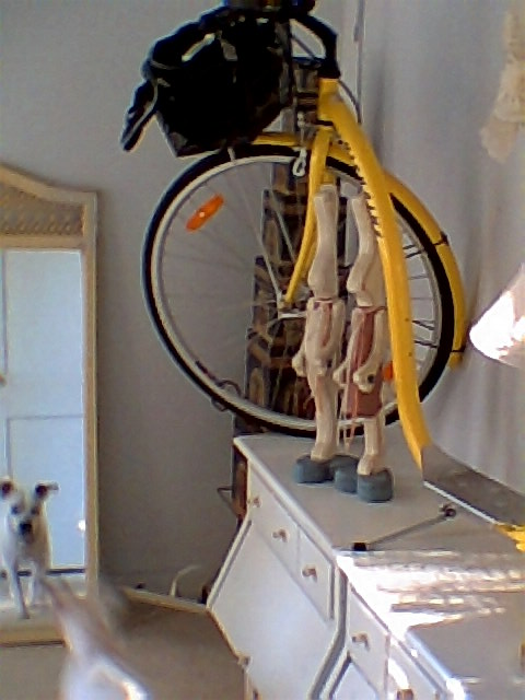 My Kickbike is encorporated into the design, and look... we have Maui in the standing mirror. You see a bit of the lamp shade.  It stands just inside the doorway, so you can reach in and turn on the light.