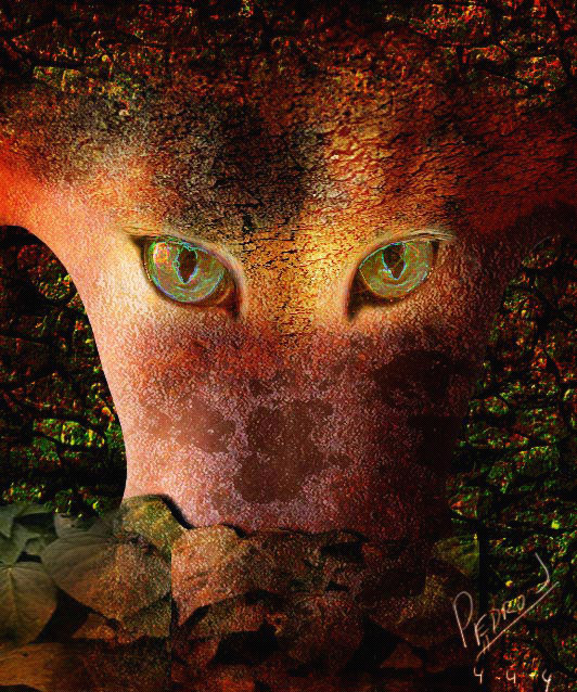 HubPages profile picture for @moncho