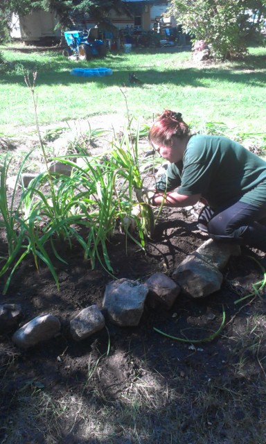 Build your own Rock Garden.