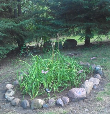 Beautify your Rock Garden with Solar lights.
