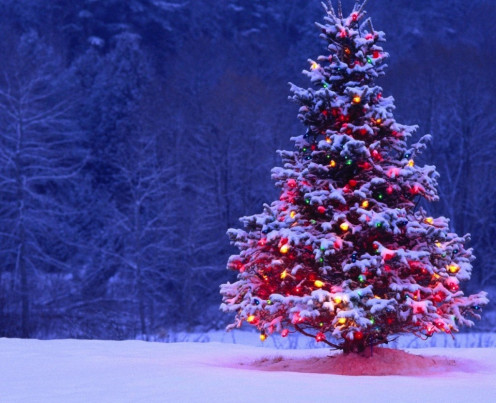 A Winter Wonderland Christmas