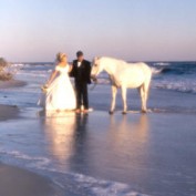 equusport profile image