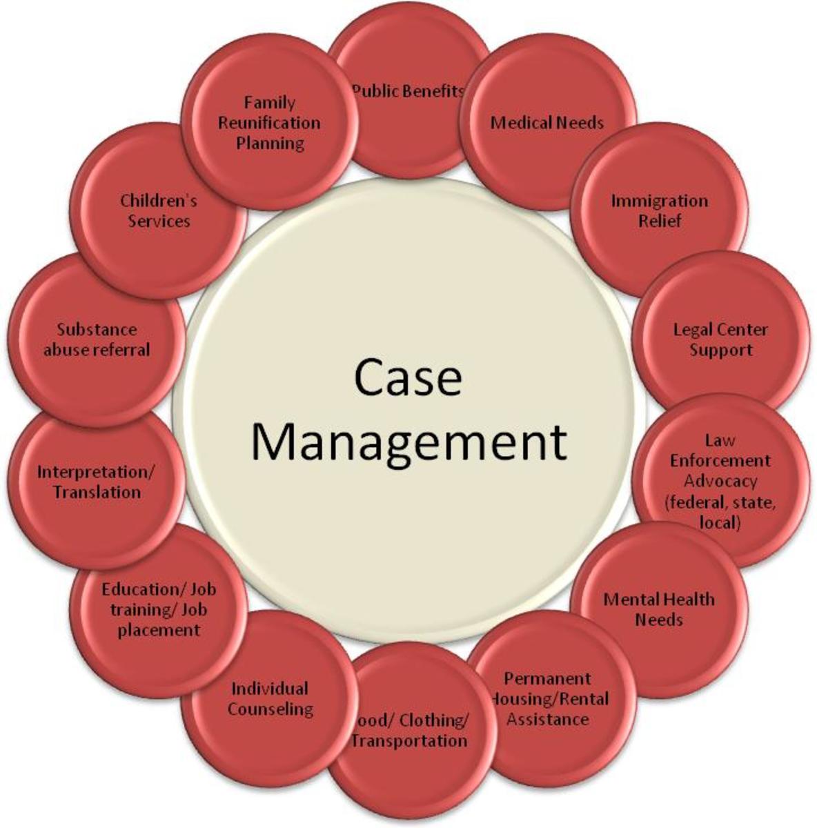 case-management-101-the-basics-healdove