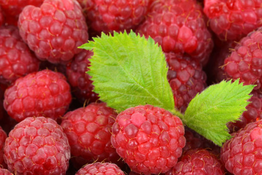 Both raspberry fruit and leaves have medicinal properties