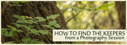 How to Find the 