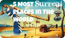 5 Most surreal places in the world