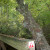 Reedy Creek Nature Preserve Sierra Loop Trail