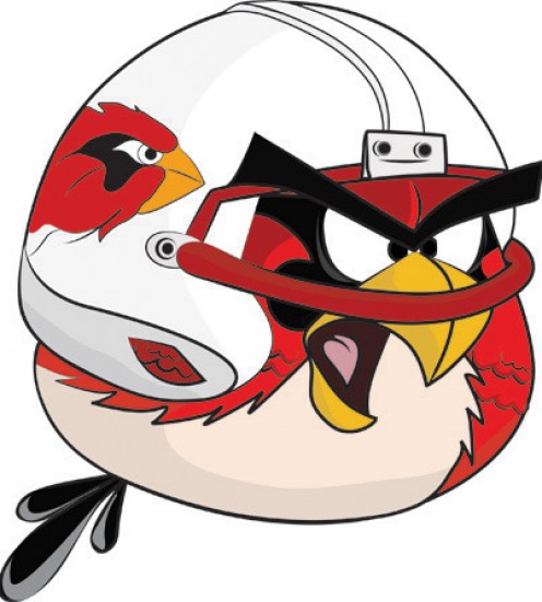 The NFL unveils it's tough line up of angry birds | hubpages