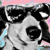cleowolff profile image