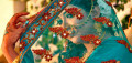 Choosing Your Perfect Wedding Colors