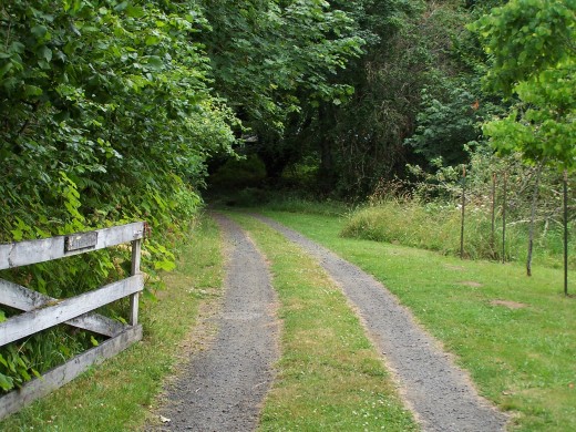 Stay on your path and be persistent