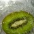 Kiwi Kiwi