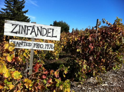 Scientists have proven that Zinfandel is from Dalmatia.  Brought by Croatian immigrants, this vineyard was produced from seedling crops with the immigrants who arrived at the beginning of the 20th century.