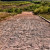 The Boat Ramp The Boat Ramp