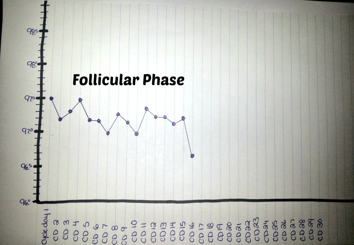 Ovulation Temp Chart Examples