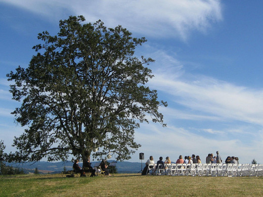 What is a Quality Wedding Vendor and How Much Do They Charge