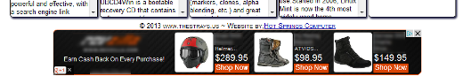 Here is a screen shot of the Google AdSense advertisement placed on the website.