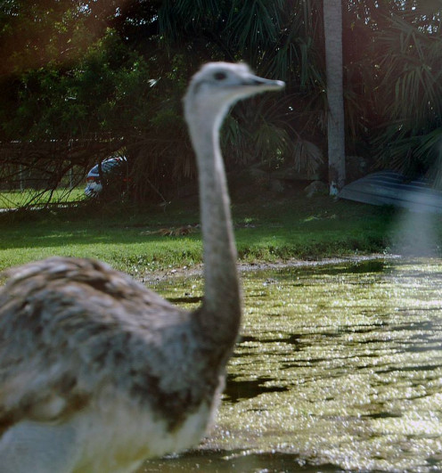 Rhea right by our car- photo by AMB