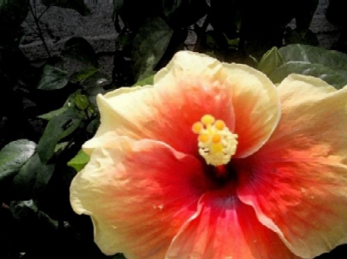 HubPages profile picture for @favorites