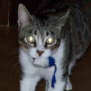 mbguthrie profile image