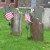 Some of the graves located in the Old Dutch Churchyard. The earliest known burial here is 1710. Some of the graves located in the Old Dutch Churchyard. The earliest known burial here is 1710.