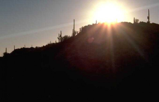 Good Morning Sunshine