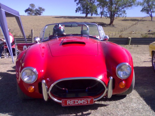 Pretty cobra! You could drive this for the rest of your life without making as much pollution as the manufacture of a "green" car to replace it.