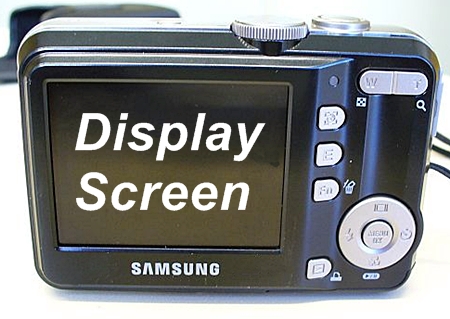Display Screen of Compact Digital Camera