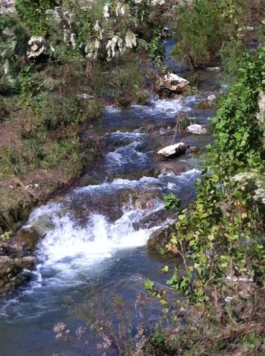 Recent rains are increasing lake levels and watering thirsty plants and grasses!