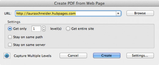 Figure 2: Create PDF from Web Page window--expanded