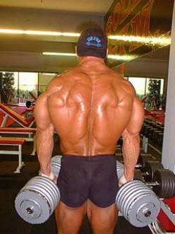 The Four Best Back Building Exercises