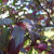 Zooming in can sometimes provide interest. Zooming in can sometimes provide interest.