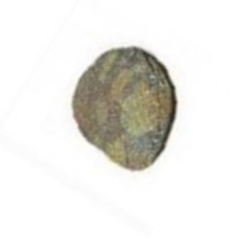 Rainbow Boji Stone is a rare Stone and comes at a high price.